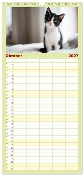 Produktbild: Familienplaner 2027 - Kitten auf Entdeckungsreise mit 5 Spalten (Wandkalender, 21 x 45 cm) CALVENDO