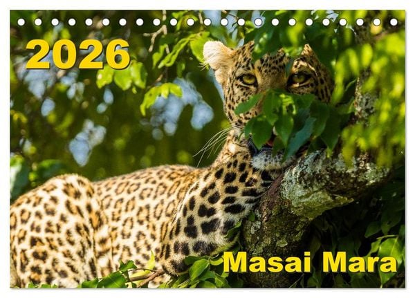 Produktbild: Masai Mara 2026 (Tischkalender 2026 DIN A5 quer), CALVENDO Monatskalender
