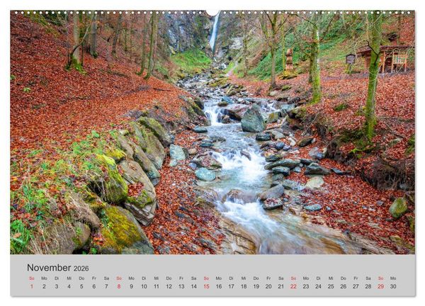 Produktbild: Komm, ich zeige dir den Wald (Wandkalender 2026 DIN A2 quer), CALVENDO Monatskalender