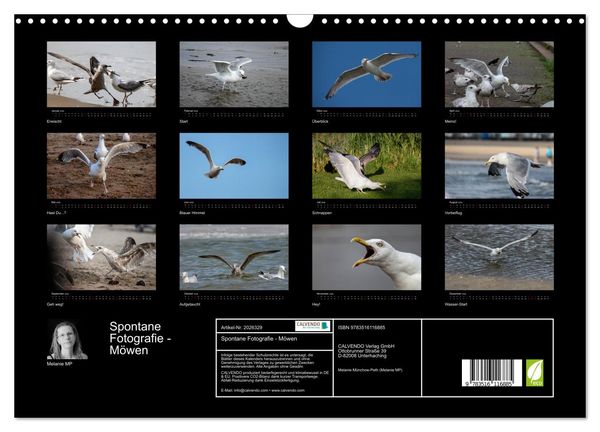 Produktbild: Spontane Fotografie - M&ouml;wen (Wandkalender 2026 DIN A3 quer), CALVENDO Monatskalender