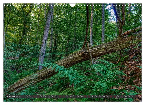 Produktbild: Landschaften unserer Heimat (Wandkalender 2026 DIN A3 quer), CALVENDO Monatskalender
