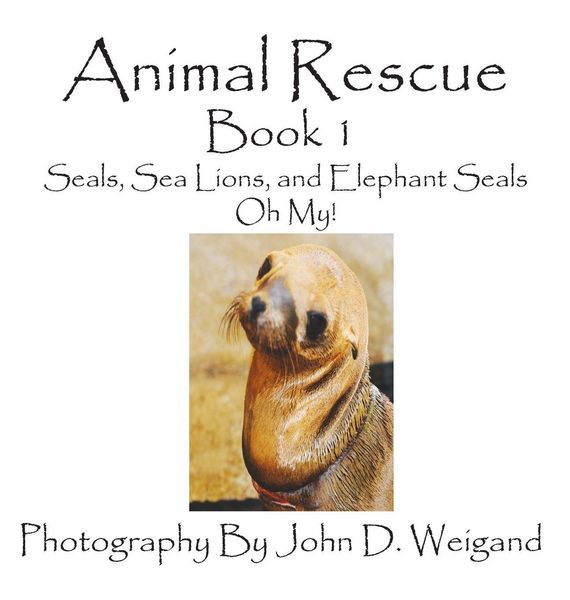 Produktbild: Animal Rescue, Book 1, Seals, Sea Lions And Elephant Seals, Oh My!