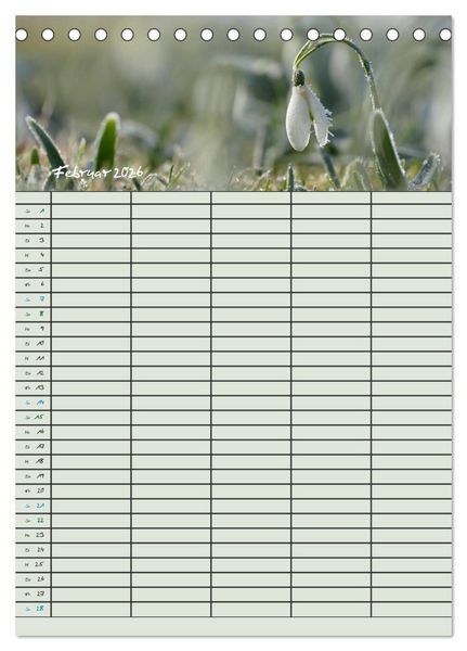 Produktbild: Kleine Natursch&ouml;nheiten (Tischkalender 2026 DIN A5 hoch), CALVENDO Monatskalender