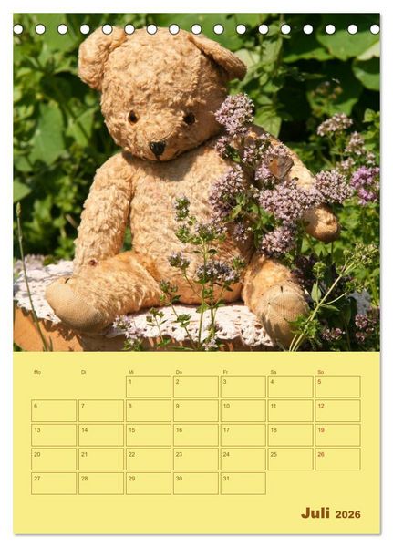 Produktbild: B&auml;renstarker Planer f&uuml;r das Jahr &ndash; Teddys (Tischkalender 2026 DIN A5 hoch), CALVENDO Monatskalender