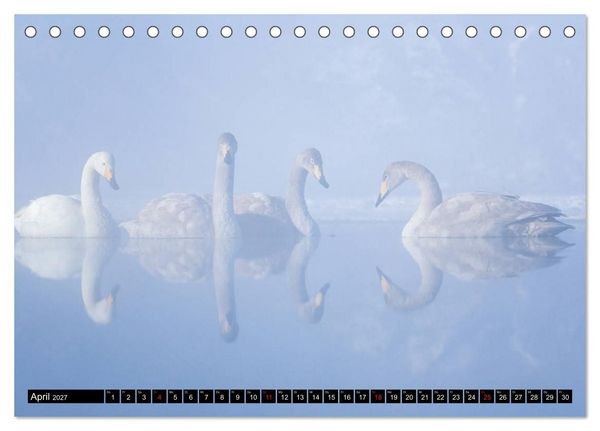 Produktbild: Japanische Vogelwelt im Winter (Tischkalender 2027 DIN A5 quer), CALVENDO Monatskalender