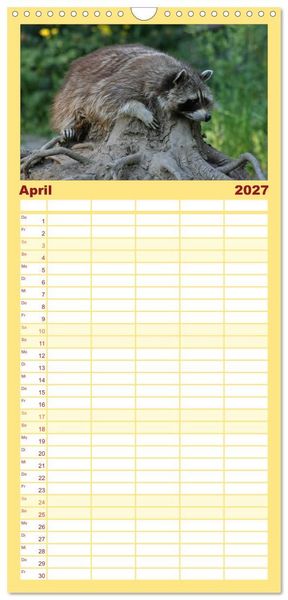 Produktbild: Familienplaner 2027 - Waschb&auml;ren mit 5 Spalten (Wandkalender, 21 x 45 cm) CALVENDO