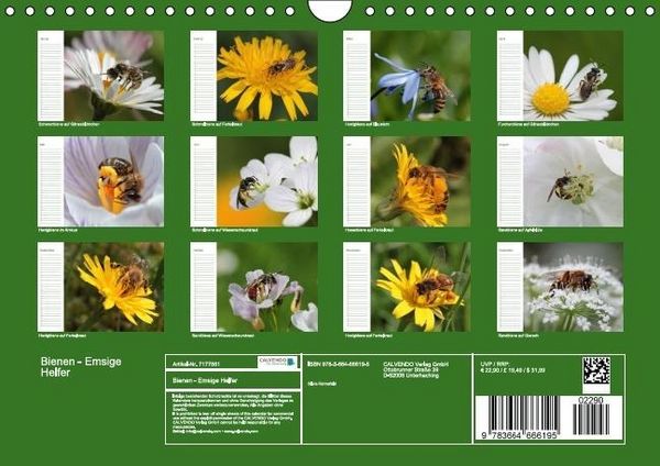 Produktbild: Bienen - Emsige Helfer (Wandkalender immerw&auml;hrend DIN A4 quer)