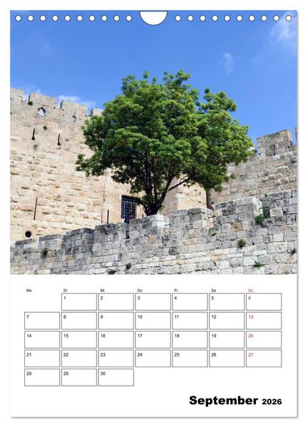 Produktbild: Israel - Der Monatsplaner 2026 (Wandkalender 2026 DIN A4 hoch), CALVENDO Monatskalender