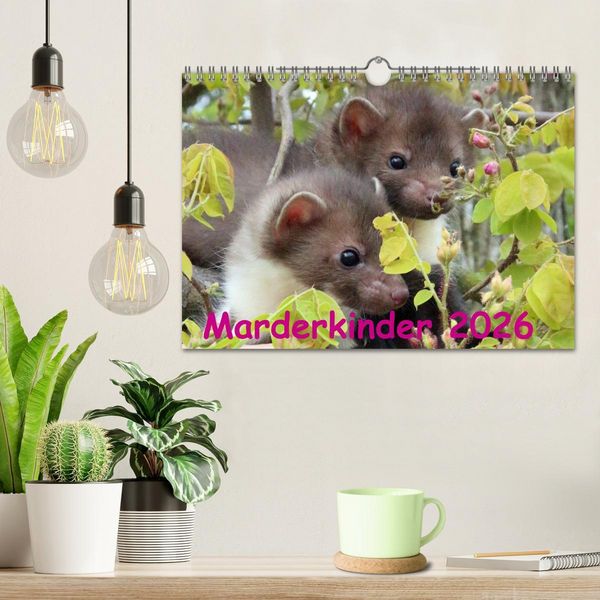 Produktbild: Marderkinder (Wandkalender 2026 DIN A4 quer), CALVENDO Monatskalender