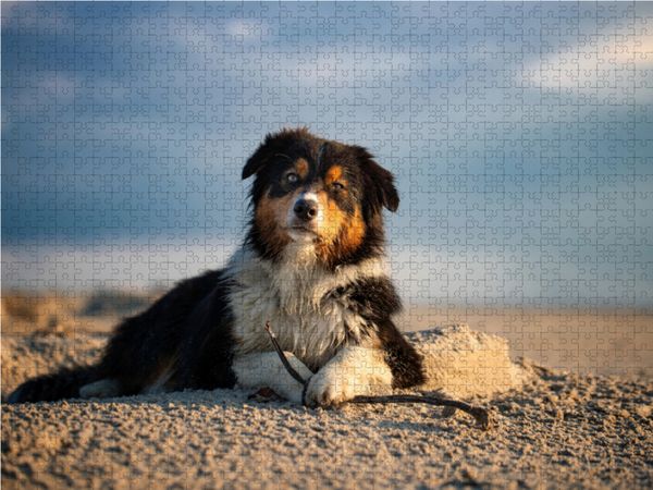 Produktbild: CALVENDO Puzzle Kleine Strandnixe 1000 Teile Lege-Gr&ouml;&szlig;e 64 x 48 cm Foto-Puzzle Bild von Annett Mirsberger www.annettmirsberger.de