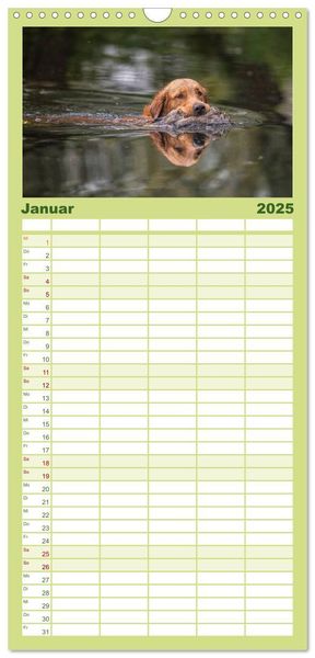 Familienplaner 2025 - Jagdhunde bei der Arbeit mit 5 Spalten (Wandkalender, 21 x 45 cm) CALVENDO