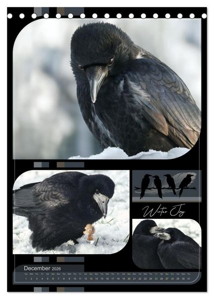Produktbild: Crows - Through the Seasons (Desk Calendar 2026 DIN A5 portrait), CALVENDO 12 Month DeskCalendar