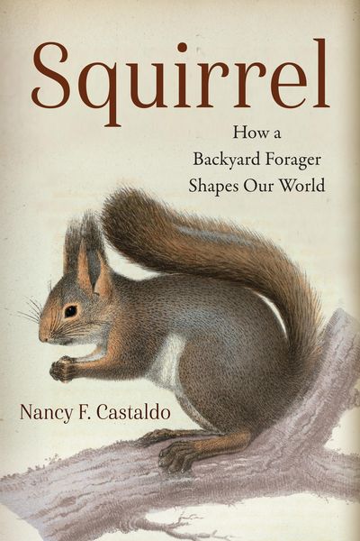 Produktbild: Squirrel