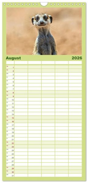 Produktbild: Familienplaner 2026 - Afrikas Tierwelt - Erdm&auml;nnchen mit 5 Spalten (Wandkalender, 21 x 45 cm) CALVENDO