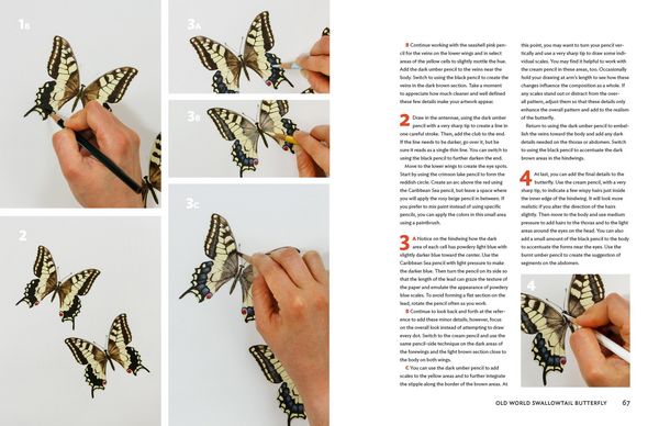 Produktbild: The Insect Artist