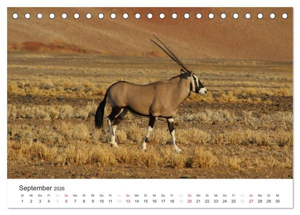 Produktbild: Namibia - Tierische Vielfalt (Tischkalender 2026 DIN A5 quer), CALVENDO Monatskalender