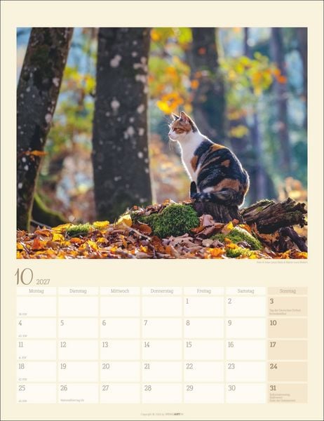 Produktbild: Katzen auf dem Lande Kalender 2027