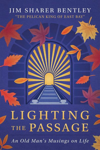 Produktbild: Lighting the Passage