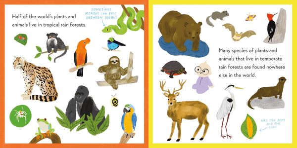 Produktbild: Nerdy Babies: Rain Forests