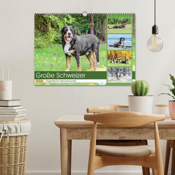 Produktbild: Gro&szlig;e Schweizer - Gigantische Sennenhunde (Wandkalender 2026 DIN A3 quer), CALVENDO Monatskalender