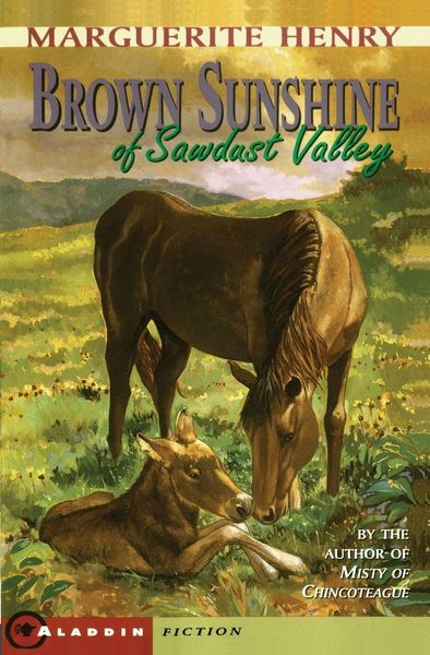 Produktbild: Brown Sunshine of Sawdust Valley