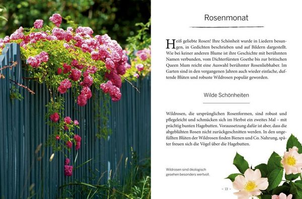 Produktbild: Das gro&szlig;e kleine Buch: Mein Garten im Sommer