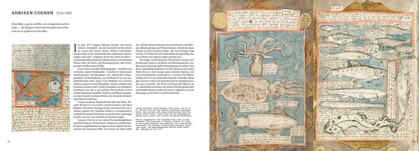 Produktbild: Das Buch des Meeres