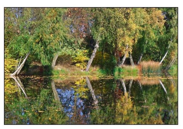 Produktbild: Herbstfarben (Tischaufsteller DIN A5 quer)