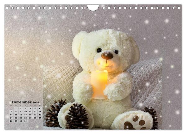 Produktbild: Teddys, wollen wir Kalender anschauen? (Wandkalender 2026 DIN A4 quer), CALVENDO Monatskalender
