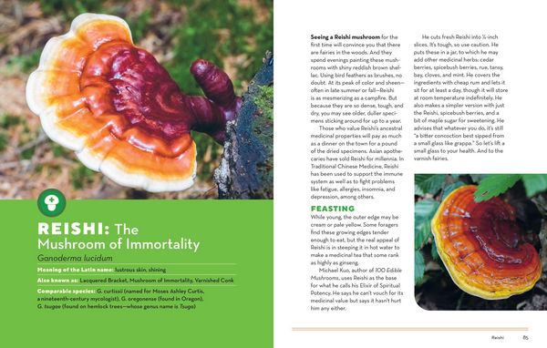Produktbild: How to Forage for Mushrooms Without Dying