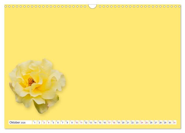 Produktbild: DIY POESIE - BASTELKALENDER (Wandkalender 2026 DIN A3 quer), CALVENDO Monatskalender