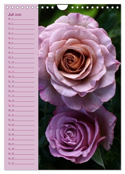 Produktbild: Rosen Symphonie (Wandkalender 2026 DIN A4 hoch), CALVENDO Monatskalender