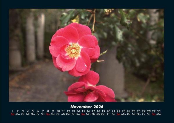 Produktbild: Blumenzauber 2026 Fotokalender DIN A4