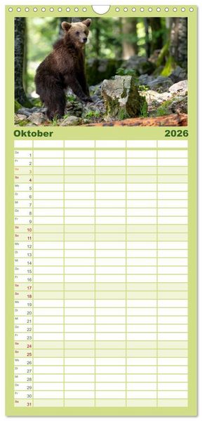 Produktbild: Familienplaner 2026 - Lautlos in den W&auml;ldern Sloweniens mit 5 Spalten (Wandkalender, 21 x 45 cm) CALVENDO