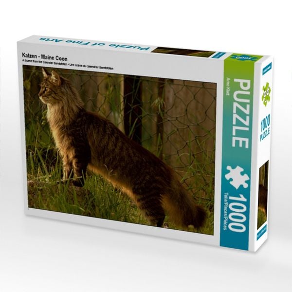CALVENDO Puzzle Katzen - Maine Coon | 1000 Teile Lege-Größe 64x48cm Foto-Puzzle für glückliche Stunden