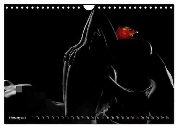 Produktbild: Fruit Nudes (Wall Calendar 2026 DIN A4 landscape), CALVENDO 12 Month Wall Calendar