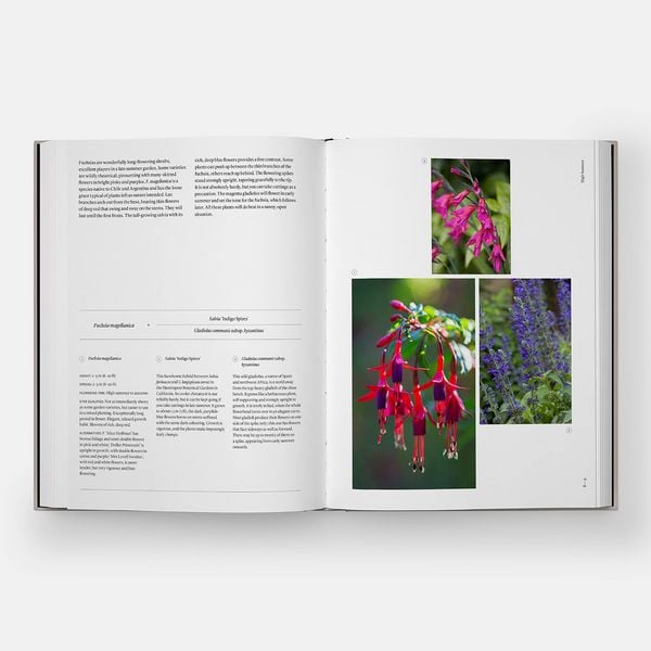 Produktbild: The Seasonal Gardener: Creative Planting Combinations