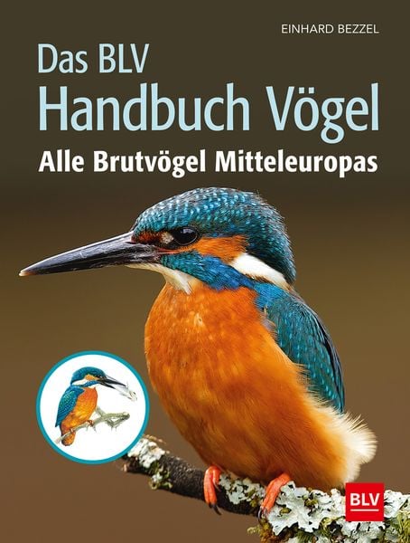 Das BLV Handbuch Vögel, Gebundene Ausgabe von Einhard Bezzel, BLV ein Imprint von GRÄFE UND UNZER Verlag GmbH, 978-3-8354-1908-7