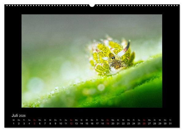 Produktbild: OCEAN - ART (hochwertiger Premium Wandkalender 2026 DIN A2 quer), Kunstdruck in Hochglanz