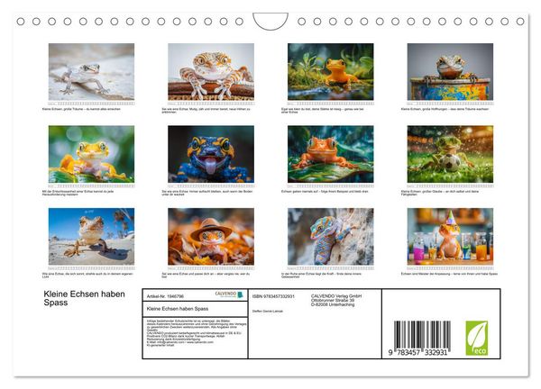 Produktbild: Kleine Echsen haben Spass (Wandkalender 2026 DIN A4 quer), CALVENDO Monatskalender