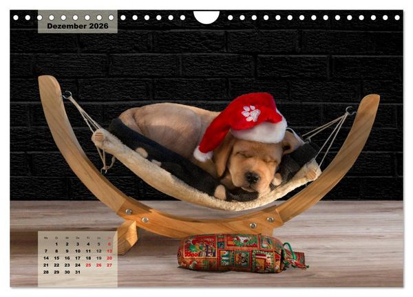 Produktbild: Welpenspa&szlig; (Wandkalender 2026 DIN A4 quer), CALVENDO Monatskalender