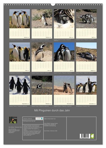 Produktbild: Mit Pinguinen durch das Jahr (Wandkalender 2026 DIN A2 hoch), CALVENDO Monatskalender