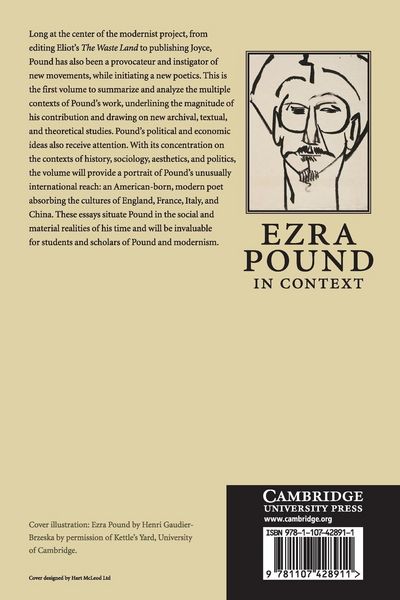 Produktbild: Ezra Pound in Context