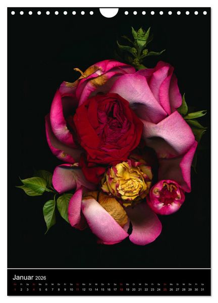 Produktbild: Blumen bei Nacht (Wandkalender 2026 DIN A4 hoch), CALVENDO Monatskalender