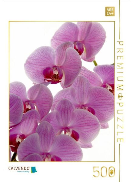 CALVENDO Puzzle Phalaenopsis | 500 Teile Lege-Größe 48 × 36 cm Foto-Puzzle für Erwachsene