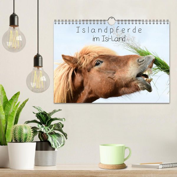 Produktbild: Islandpferde im Isi-Land (Wandkalender 2026 DIN A4 quer), CALVENDO Monatskalender