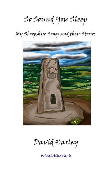 Produktbild: So Sound You Sleep (David Harley: Words & Music, #2)
