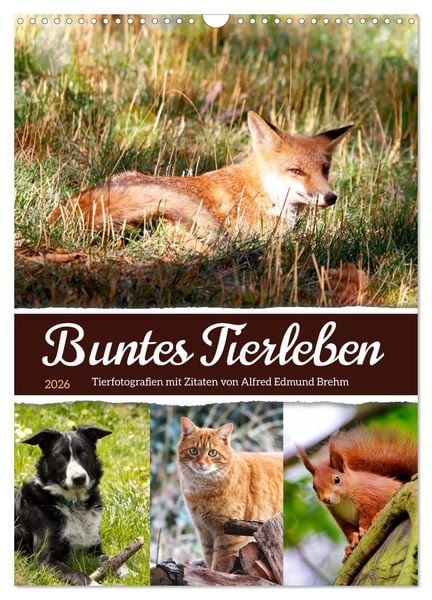 Produktbild: Buntes Tierleben (Wandkalender 2026 DIN A3 hoch), CALVENDO Monatskalender