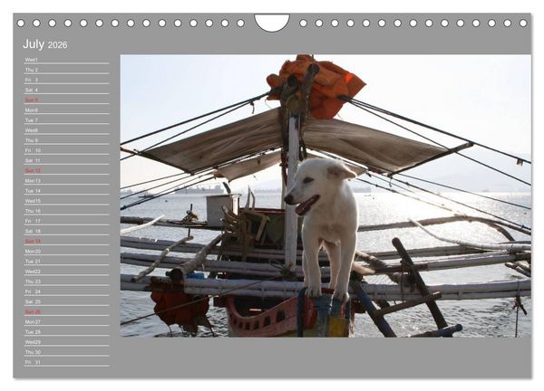 Produktbild: Philippines Colorful Life (Wall Calendar 2026 DIN A4 landscape), CALVENDO 12 Month Wall Calendar