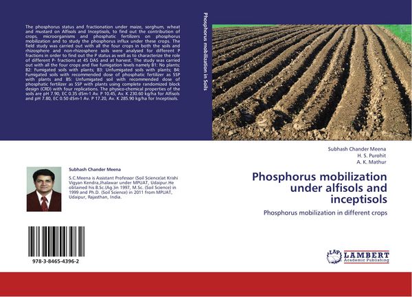 Produktbild: Phosphorus mobilization under alfisols and inceptisols